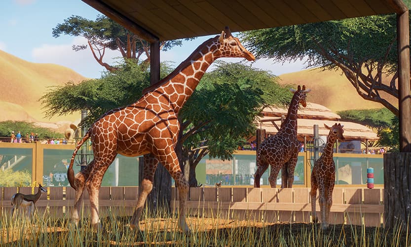 Planet Zoo giraffe