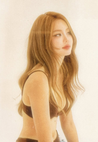 โบว์-เมลดา-(8)