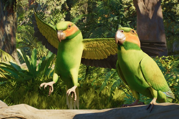 Planet Zoo 2 นกแก้วในสวนสัตว์